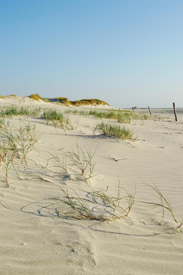 Ferienhus #1 Nordfriesland Leilighet Mildstedt Eksteriør bilde