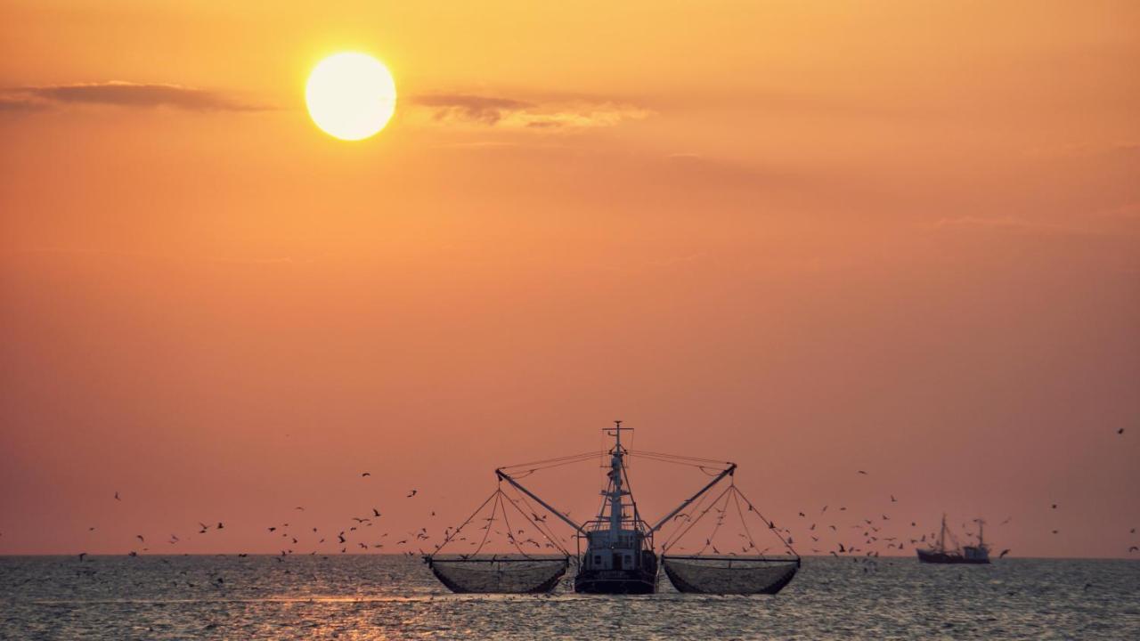 Ferienhus #1 Nordfriesland Leilighet Mildstedt Eksteriør bilde